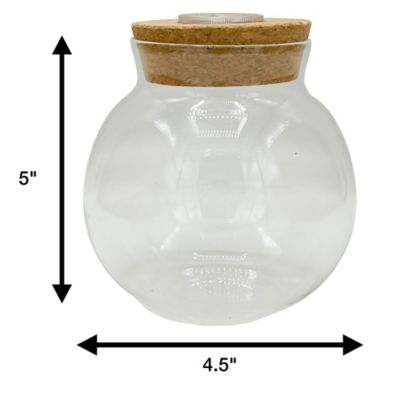 Image showing  Glass Terrarium 2 pk. 4 in. With Cork & 3 LEDs Light-Up Cork, Gardening Planter