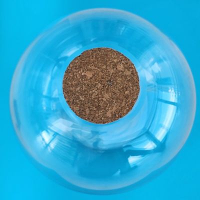 Image showing 5 th Unique Gardener Glass Terrarium 2 pk. 4 in. With Cork & 3 LEDs Light-Up Cork, Gardening Planter