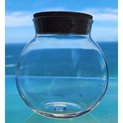 Image showing 6 th Unique Gardener Glass Terrarium 2 pk. 4 in. With Cork & 3 LEDs Light-Up Cork, Gardening Planter