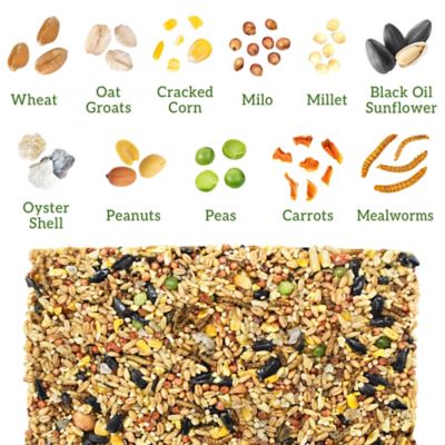 Image showing  Veggie & Worms Cake Chicken Treats, 30 oz.