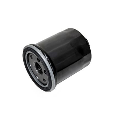 Image showing  Oil Filter for T-Boss 750 or MSA750