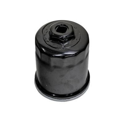 Image showing  Oil Filter for T-Boss 750 or MSA750