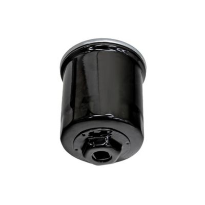 Image showing  Oil Filter for T-Boss 750 or MSA750