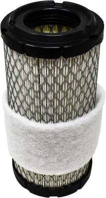 Image showing  Air Filter for BUCK 250/250X
