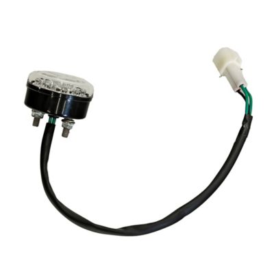 Image showing  T-BOSS 550, 560 LED Taillight Assembly