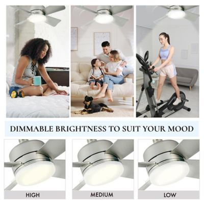 Image showing 6 th Bell & Howell Socket Fan Silver