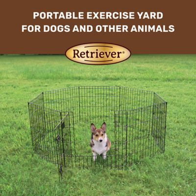 Image showing  Indoor/Outdoor Step-Thru Exercise Pen for Dogs, 24 in.
