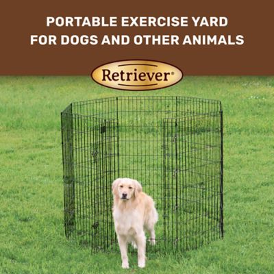 Image showing  Indoor/Outdoor Step-Thru Exercise Pen for Dogs, 48 in.