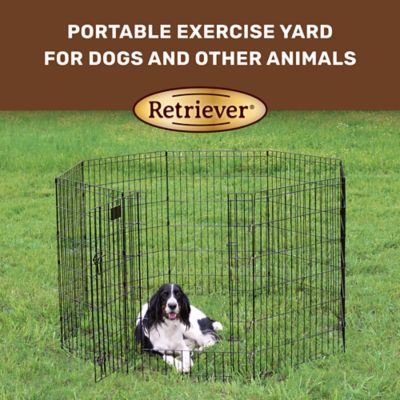Image showing  Indoor/Outdoor Step-Thru Exercise Pen for Dogs, 36 in.