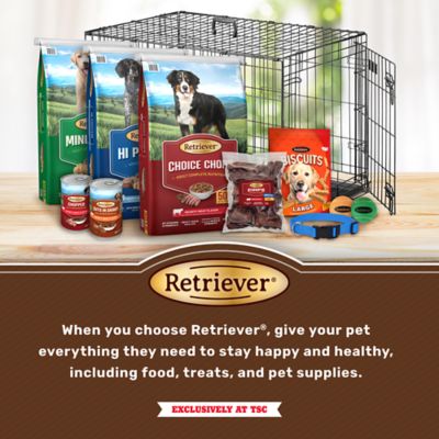 Image showing  Indoor/Outdoor Step-Thru Exercise Pen for Dogs, 36 in.