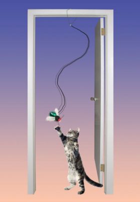 Image showing  Buzzing Insect A-Door-Able Assorted