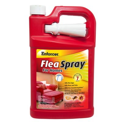 Enforcer Flea Spray for Homes, 1 gal.