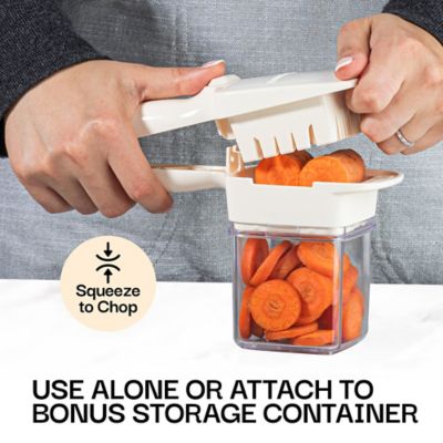 Image showing  Nutri Chopper