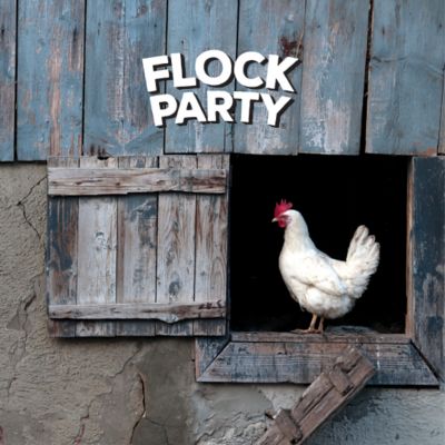 Image showing  Keepin It Fresh Coop Air Freshener, 2 pack