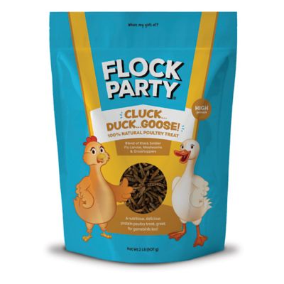 Flock Party Cluck Duck Goose Poultry Treat, 2 lb.