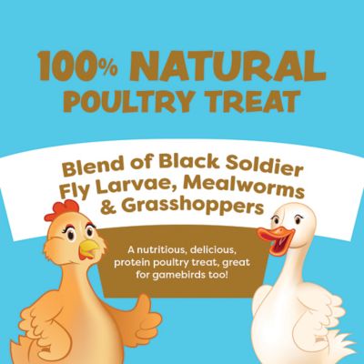 Image showing  Cluck Duck Goose Poultry Treat, 2 lb.