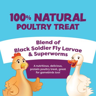 Image showing  Getting Buggy With It, 2 lb.