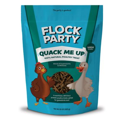 Flock Party Quack Me Up Poultry Treat, 10 oz.