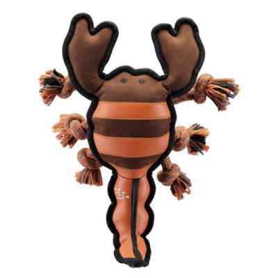 MuttNation Fueled by Miranda Lambert Suede And Rope Scorpion