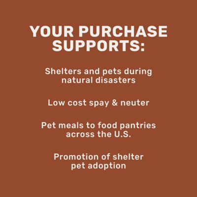 Image showing  Quilted Fur Water-Resistant Pet Throw Blanket, 60 in. x 50 in.