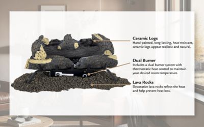 Image showing  24 in. Wildwood Vent Free Gas Log Set 30,000 BTU