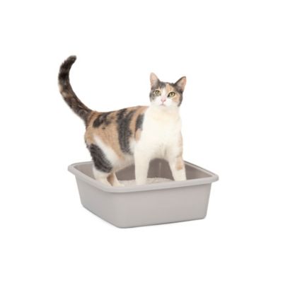 Image showing 8 th PetSafe ScoopFree Natural Litter