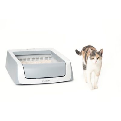 Image showing 7 th PetSafe ScoopFree Premium Natural Cat Litter