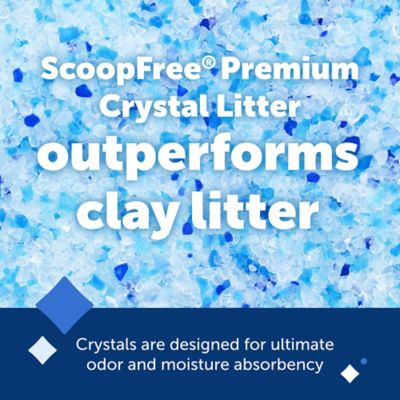 Image showing  ScoopFree Premium Fresh Crystal Litter