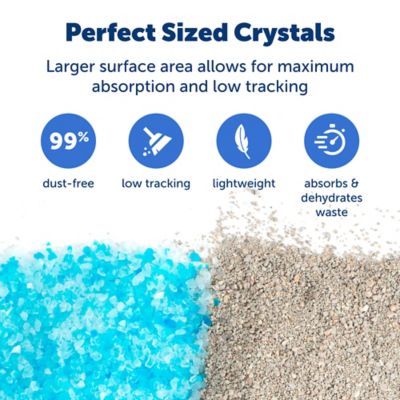 Image showing  ScoopFree Premium Fresh Crystal Litter