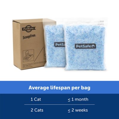 Image showing 5 th PetSafe ScoopFree Premium Fresh Crystal Litter