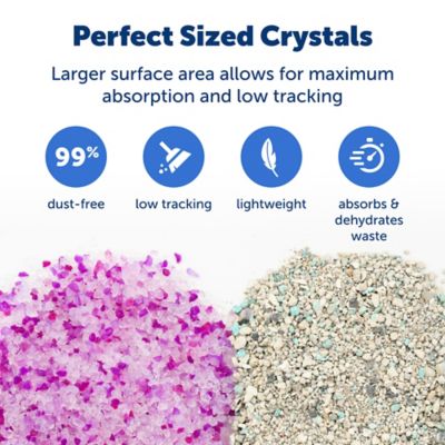 Image showing  ScoopFree Premium Lavender Crystal Litter
