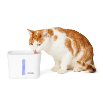 Image showing 6 th PetSafe Viva Fountain, Plastic Tray