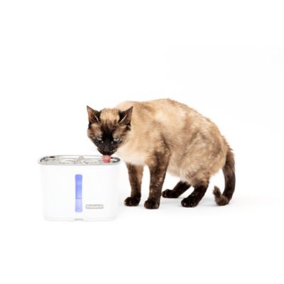 Image showing 6 th PetSafe Viva Pet Fountain, 64 oz., Stainless Steel Tray