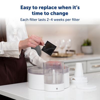 Image showing  ION-X Square Carbon Resin Fountain Filter, 4pk