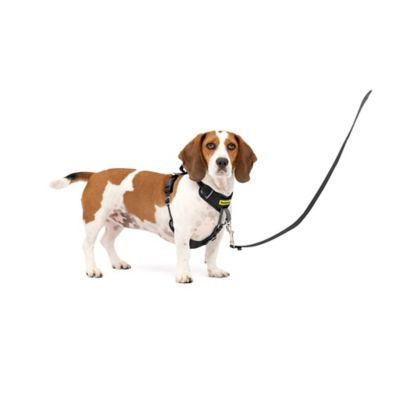 Image showing 7 th PetSafe Easy Walk Comfort Fit No-Pull Dog Harness
