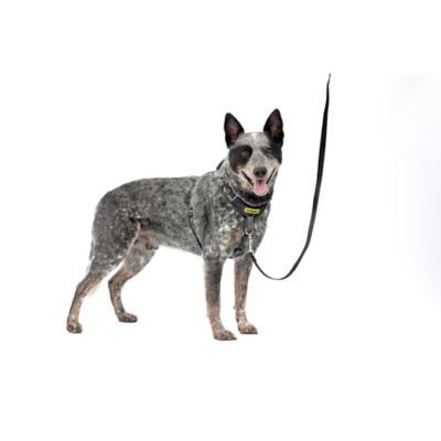 Image showing 7 th PetSafe Easy Walk Comfort Fit No-Pull Dog Harness