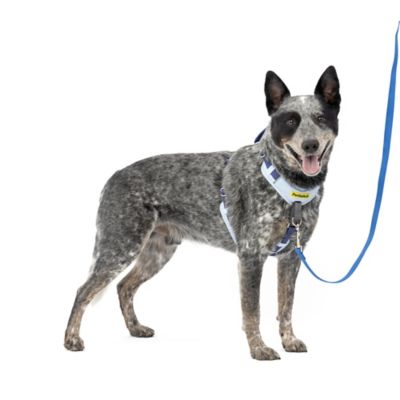 PetSafe Easy Walk Comfort No-Pull Dog Harness