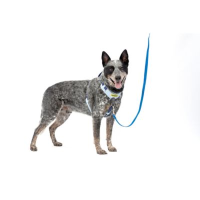 Image showing 7 th PetSafe Easy Walk Comfort Fit No-Pull Dog Harness