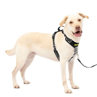 PetSafe Easy Walk Comfort No-Pull Dog Harness