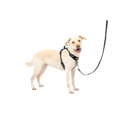 Image showing 7 th PetSafe Easy Walk Comfort Fit No-Pull Dog Harness
