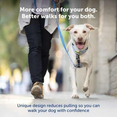 Image showing  Easy Walk Comfort Fit No-Pull Dog Harness
