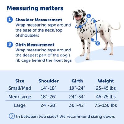 Image showing  Easy Walk Comfort Fit No-Pull Dog Harness