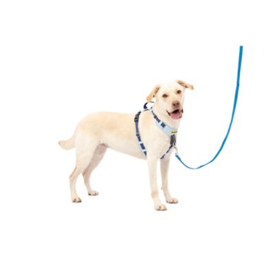 Image showing 7 th PetSafe Easy Walk Comfort Fit No-Pull Dog Harness