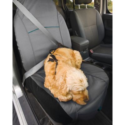 Image showing  Rover Bucket Seat Cover