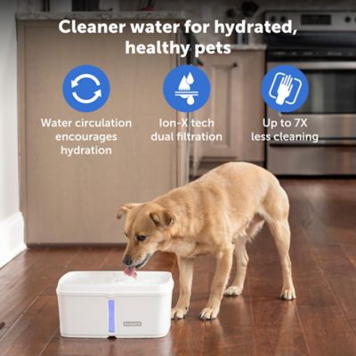 Image showing  Viva Fountain, Plastic Tray