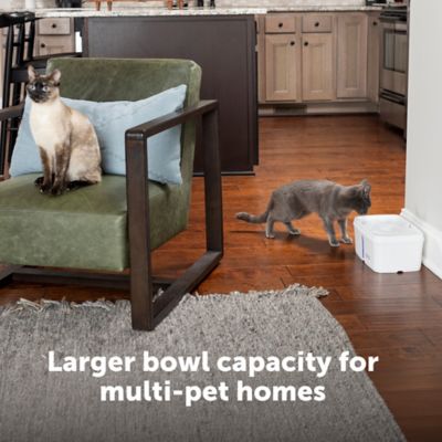 Image showing  Viva Fountain, Plastic Tray