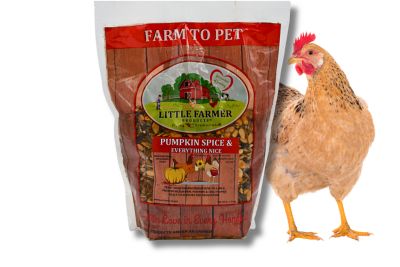 Little Farmer Products Pumpkin Spice & Everything Nice Chicken Treat, 3 lb.