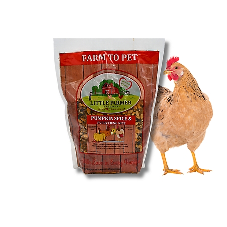 Little Farmer Products Pumpkin Spice & Everything Nice Chicken Treat, 3 lb.