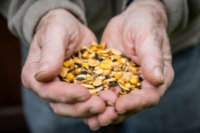 Image showing  Pumpkin Spice & Everything Nice Chicken Treat, 3 lb.