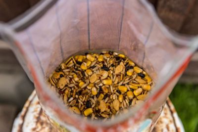 Image showing  Pumpkin Spice & Everything Nice Chicken Treat, 3 lb.